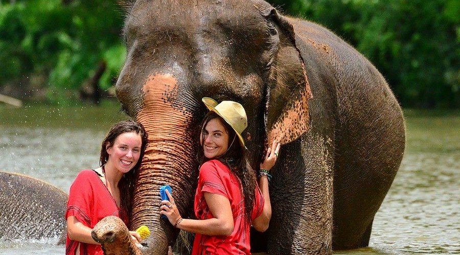 ChangChill elephant sanctuary Mae Wang Chiang Mai observation based