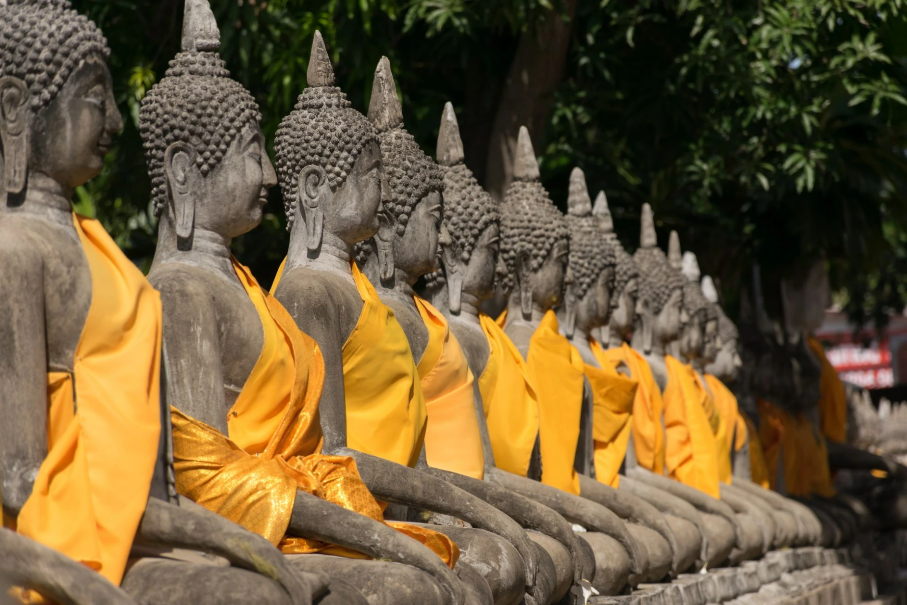 Buddha statues in Phra Nakhon Si Ayutthaya province, Thailand